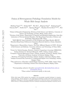 Fusion of Multi-scale Heterogeneous Pathology Foundation Models for Whole Slide Image Analysis