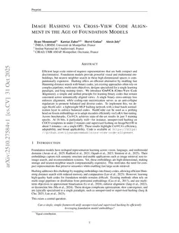 Image Hashing via Cross-View Code Alignment in the Age of Foundation Models