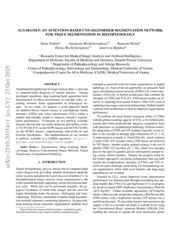 ACS-SegNet: An Attention-Based CNN-SegFormer Segmentation Network for Tissue Segmentation in Histopathology