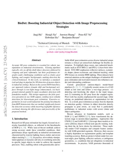 BioDet: Boosting Industrial Object Detection with Image Preprocessing Strategies