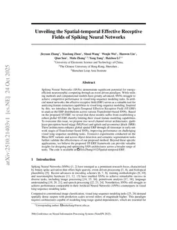 Unveiling the Spatial-temporal Effective Receptive Fields of Spiking Neural Networks