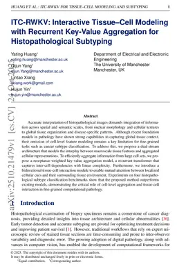 ITC-RWKV: Interactive Tissue-Cell Modeling with Recurrent Key-Value Aggregation for Histopathological Subtyping