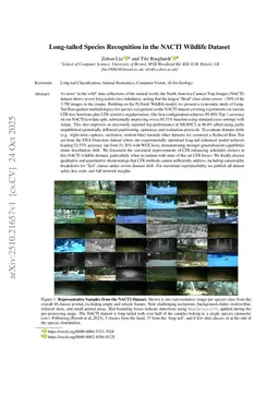 Long-tailed Species Recognition in the NACTI Wildlife Dataset