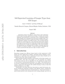 Self-Supervised Learning of Synapse Types from EM Images