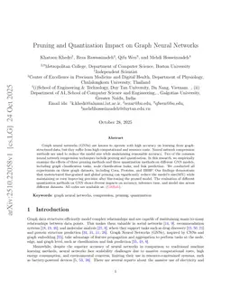 Pruning and Quantization Impact on Graph Neural Networks