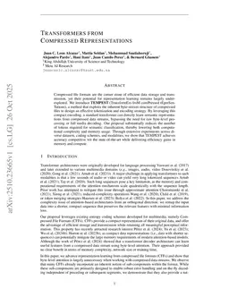 Transformers from Compressed Representations