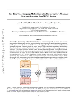 Test-Time Tuned Language Models Enable End-to-end De Novo Molecular Structure Generation from MS/MS Spectra