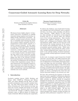 Connectome-Guided Automatic Learning Rates for Deep Networks