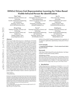 DINOv2 Driven Gait Representation Learning for Video-Based Visible-Infrared Person Re-identification