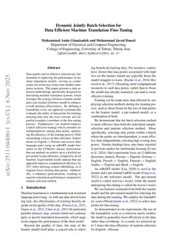 Dynamic Jointly Batch Selection for Data Efficient Machine Translation Fine-Tuning