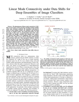 Linear Mode Connectivity under Data Shifts for Deep Ensembles of Image Classifiers