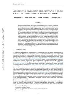 Addressing divergent representations from causal interventions on neural networks