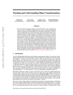 Tracking and Understanding Object Transformations