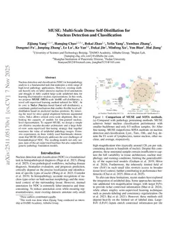 MUSE: Multi-Scale Dense Self-Distillation for Nucleus Detection and Classification