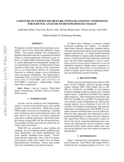 Spatially-Aware Mixture of Experts with Log-Logistic Survival Modeling for Whole-Slide Images