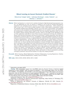 Bilevel Learning via Inexact Stochastic Gradient Descent
