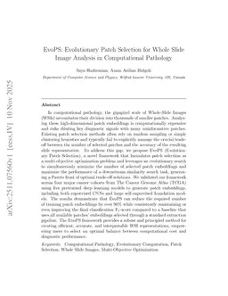 EvoPS: Evolutionary Patch Selection for Whole Slide Image Analysis in Computational Pathology