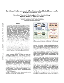 Burst Image Quality Assessment: A New Benchmark and Unified Framework for Multiple Downstream Tasks