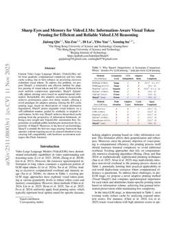 Sharp Eyes and Memory for VideoLLMs: Information-Aware Visual Token Pruning for Efficient and Reliable VideoLLM Reasoning