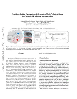 Gradient-Guided Exploration of Generative Model's Latent Space for Controlled Iris Image Augmentations
