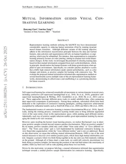 Mutual Information guided Visual Contrastive Learning