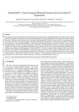 SpinalSAM-R1: A Vision-Language Multimodal Interactive System for Spine CT Segmentation