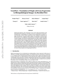 GeneFlow: Translation of Single-cell Gene Expression to Histopathological Images via Rectified Flow