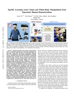 EgoMI: Learning Active Vision and Whole-Body Manipulation from Egocentric Human Demonstrations