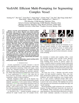 VesSAM: Efficient Multi-Prompting for Segmenting Complex Vessel