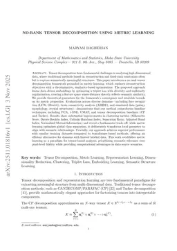 No-rank Tensor Decomposition Using Metric Learning