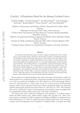 CytoNet: A Foundation Model for the Human Cerebral Cortex