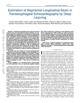 Estimation of Segmental Longitudinal Strain in Transesophageal Echocardiography by Deep Learning
