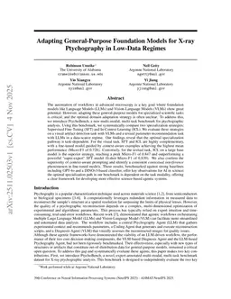 Adapting General-Purpose Foundation Models for X-ray Ptychography in Low-Data Regimes