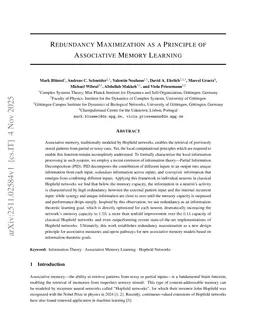 Redundancy Maximization as a Principle of Associative Memory Learning