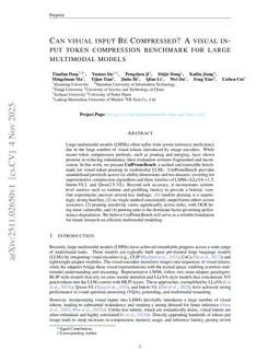 Can Visual Input Be Compressed? A Visual Token Compression Benchmark for Large Multimodal Models