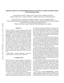Domain-Adaptive Transformer for Data-Efficient Glioma Segmentation in Sub-Saharan MRI