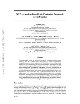NAP: Attention-Based Late Fusion for Automatic Sleep Staging