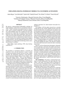 Explaining Digital Pathology Models via Clustering Activations