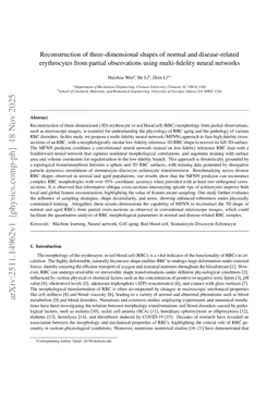 Reconstruction of three-dimensional shapes of normal and disease-related erythrocytes from partial observations using multi-fidelity neural networks