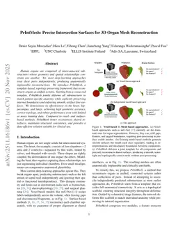 PrIntMesh: Precise Intersection Surfaces for 3D Organ Mesh Reconstruction