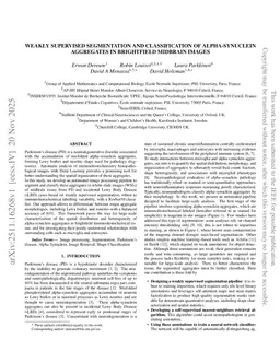 Weakly Supervised Segmentation and Classification of Alpha-Synuclein Aggregates in Brightfield Midbrain Images