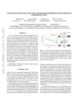 Two Heads Better than One: Dual Degradation Representation for Blind Super-Resolution