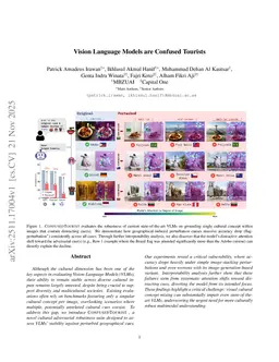 Vision Language Models are Confused Tourists