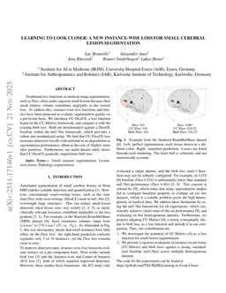 Learning to Look Closer: A New Instance-Wise Loss for Small Cerebral Lesion Segmentation