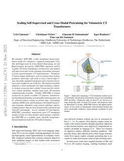 Scaling Self-Supervised and Cross-Modal Pretraining for Volumetric CT Transformers