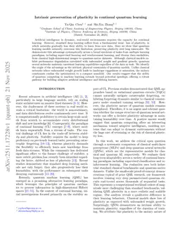 Intrinsic preservation of plasticity in continual quantum learning