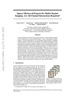 Sparse Mixture-of-Experts for Multi-Channel Imaging: Are All Channel Interactions Required?
