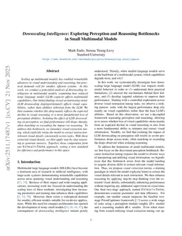 Downscaling Intelligence: Exploring Perception and Reasoning Bottlenecks in Small Multimodal Models