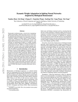 Dynamic Weight Adaptation in Spiking Neural Networks Inspired by Biological Homeostasis
