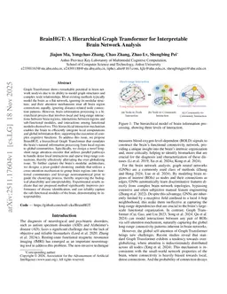 BrainHGT: A Hierarchical Graph Transformer for Interpretable Brain Network Analysis